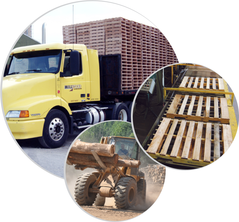 pallets, new pallets, used pallets, recycled pallets